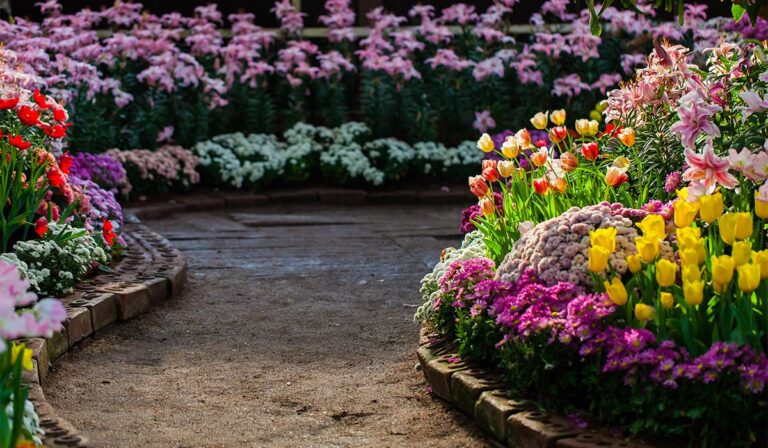 Read more about the article Gardening Services Business Template for Elementor