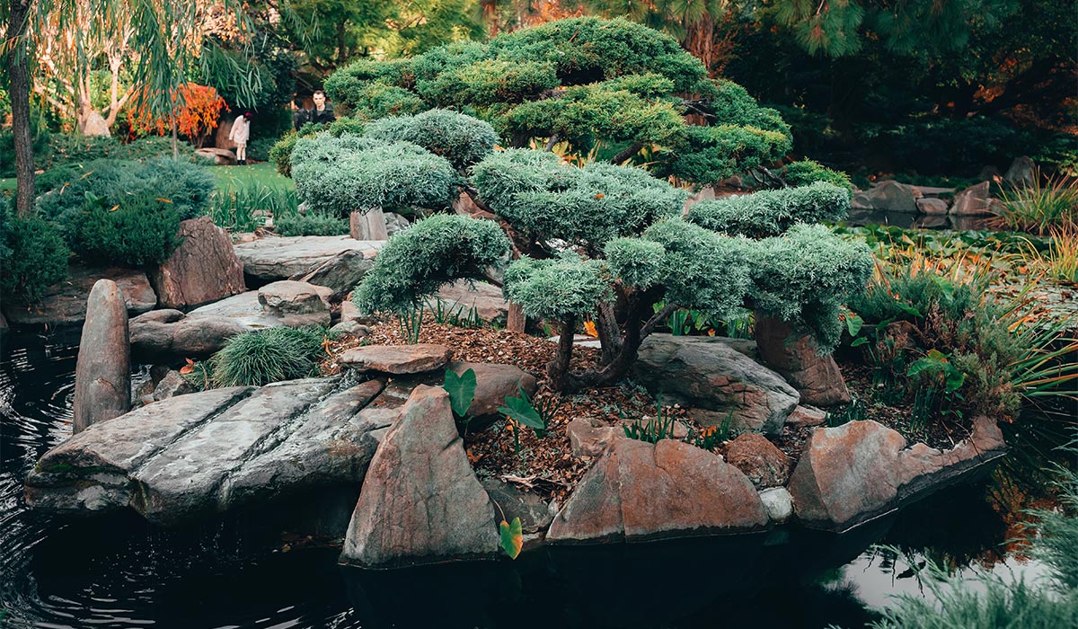 Read more about the article Tips and Tricks for Gardeners Using OceanWP WordPress